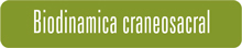 Biodinámica Craneosacral